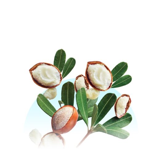 Softening Shea Butter & Almond Oil